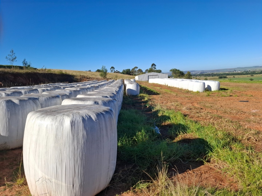 6 Bedroom Property for Sale in Riversdale Rural Western Cape